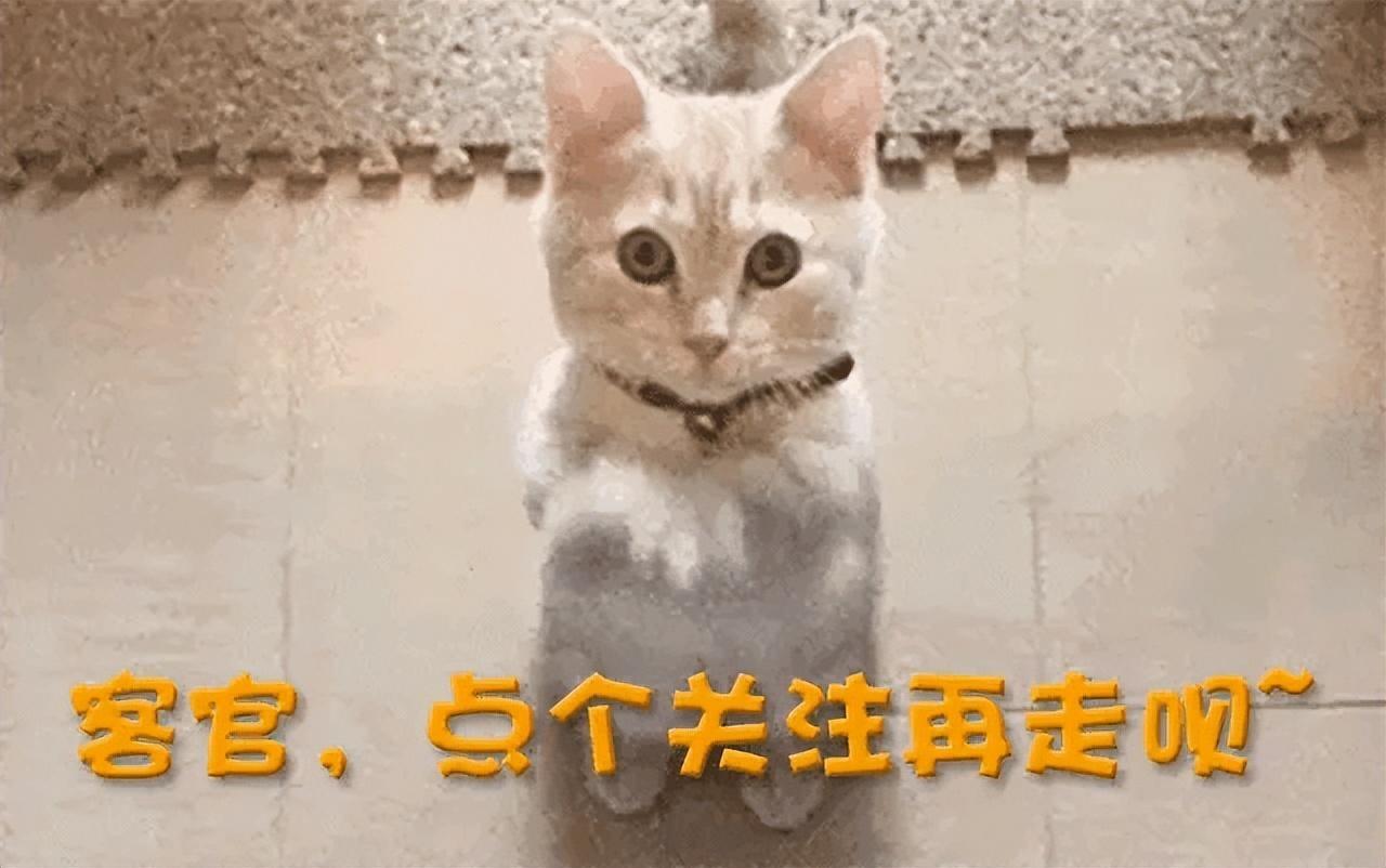 汽車事故起火怎么理賠_汽車火災(zāi)事故_汽車著火事故