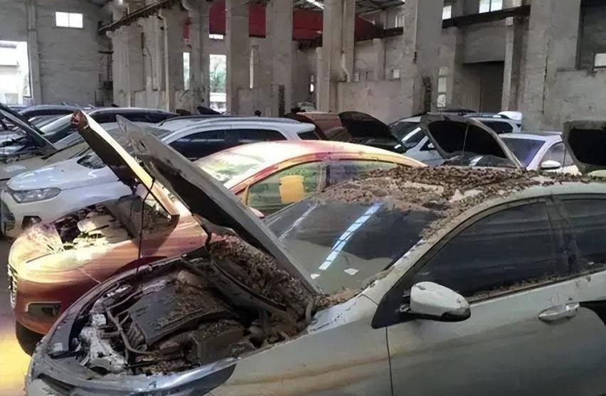 車成泡水車損失多少_事故車和泡水車哪個危害大_事故車泡水車是什么意思
